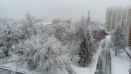 Similar image 21513502