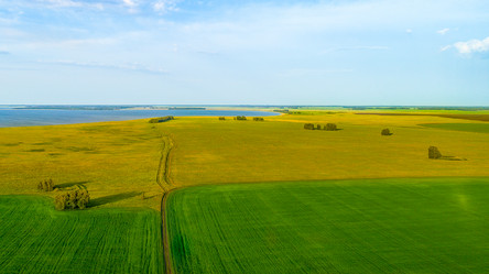 Similar image 21513505