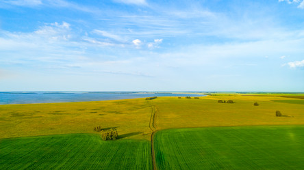 Similar image 21513507