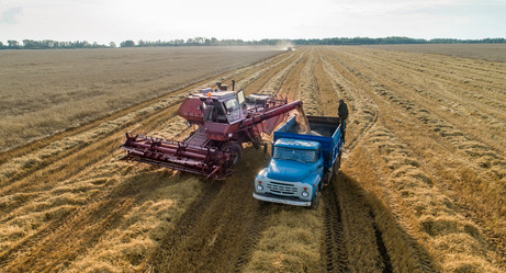 Similar image 21513519