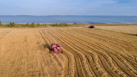 Similar image 21513529