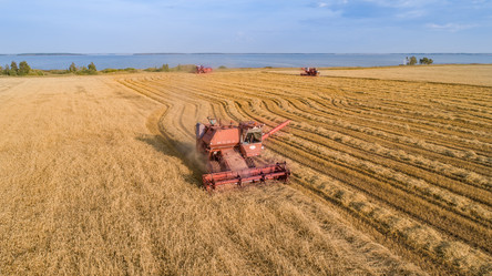 Similar image 21513531