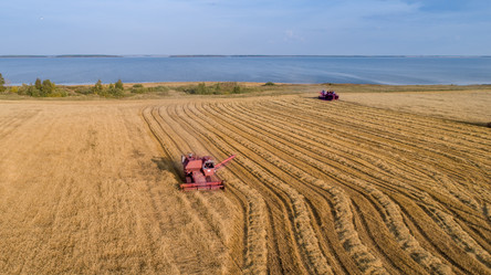 Similar image 21513587