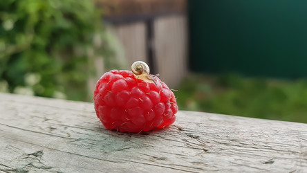 Similar image 21513589