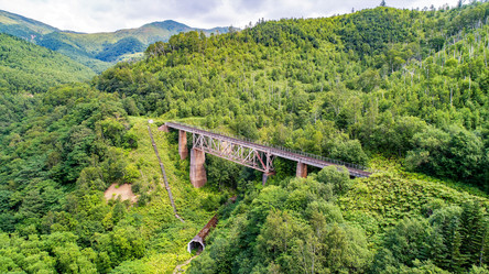 Similar image 21513601