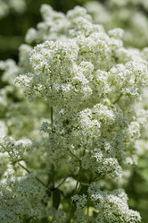 Similar image 21504472