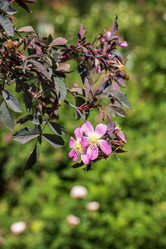 Similar image 21504476