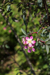 Similar image 21504477