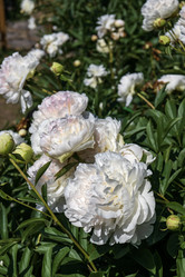 Similar image 21504480