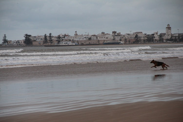 Similar image 21508687