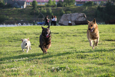 Similar image 21508689