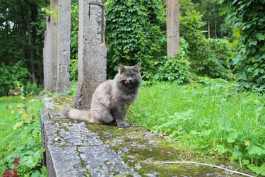 Similar image 21508691