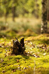 Similar image 21510749