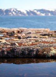 Similar image 21510750