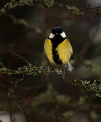 Similar image 21510751