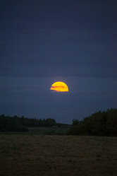 Similar image 21510752