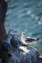 Similar image 21510755