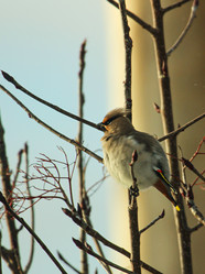 Similar image 21510756