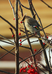 Similar image 21510757