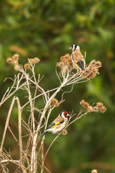 Similar image 21510759