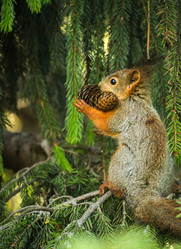 Similar image 21510763