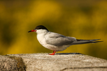 Similar image 21510764