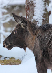 Similar image 21510765