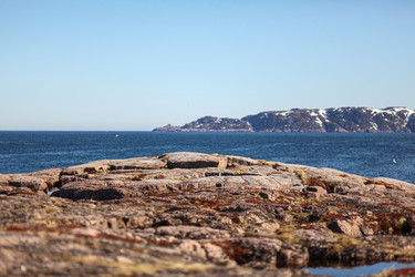 Similar image 21510768