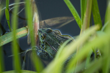 Similar image 21510769