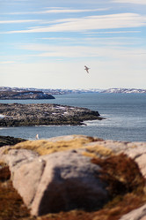 Similar image 21510775