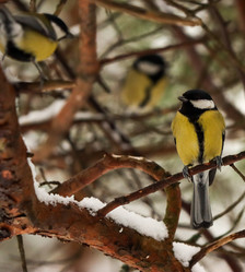 Similar image 21510777