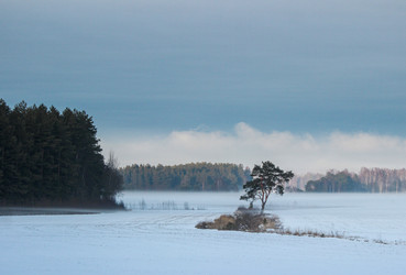 Similar image 21510778