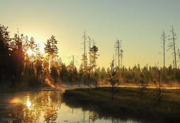 Similar image 21510782