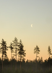 Similar image 21510783