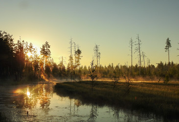 Similar image 21510785