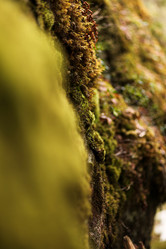 Similar image 21510786