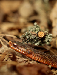 Similar image 21510788