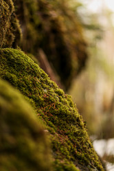 Similar image 21510789