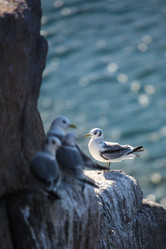 Similar image 21510790