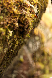 Similar image 21510791