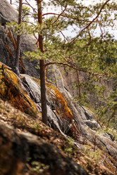 Similar image 21510793