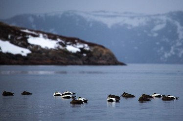 Similar image 21510796