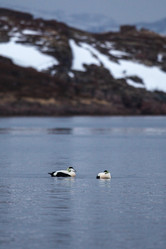 Similar image 21510797