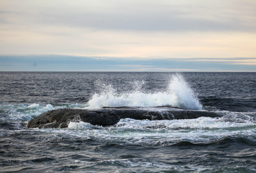 Similar image 21510802