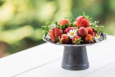 Similar image 21511025