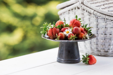 Similar image 21511028