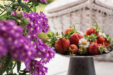 Similar image 21511029