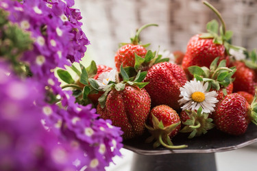 Similar image 21511030