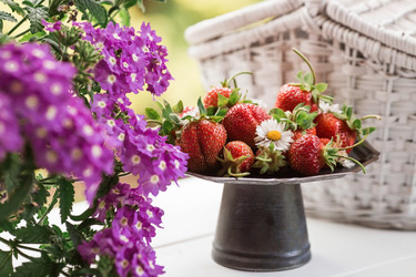 Similar image 21511031