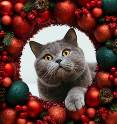 Similar image 21504354